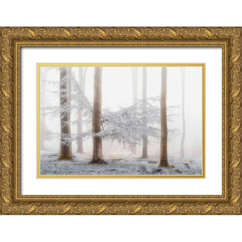 Lishka Gold Ornate Wood Framed Art Print with Double Matting by Van de Goor, Lars