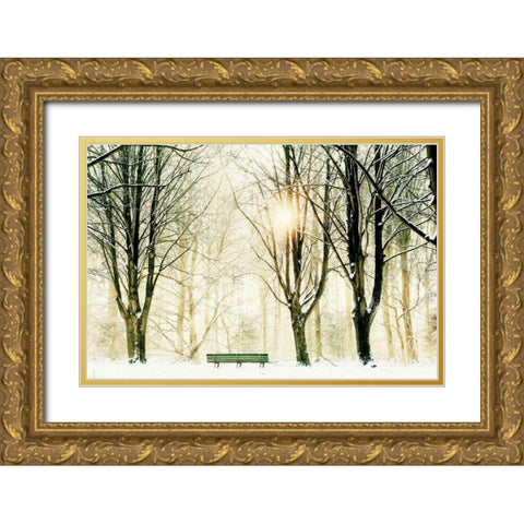 Too Cold To Sit Gold Ornate Wood Framed Art Print with Double Matting by Van de Goor, Lars