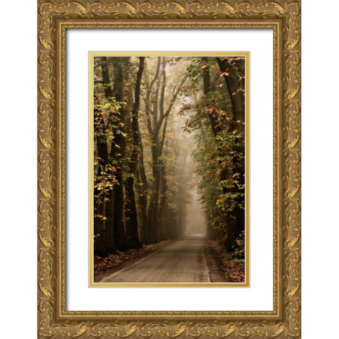 Folia Gold Ornate Wood Framed Art Print with Double Matting by Van de Goor, Lars