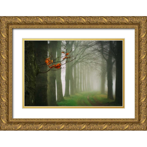 Old and New Gold Ornate Wood Framed Art Print with Double Matting by Van de Goor, Lars