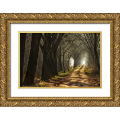 Paths Gold Ornate Wood Framed Art Print with Double Matting by Van de Goor, Lars