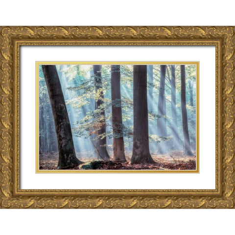 Spellbound Gold Ornate Wood Framed Art Print with Double Matting by Van de Goor, Lars