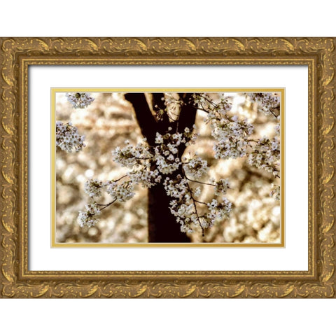 Spring Black Gold Ornate Wood Framed Art Print with Double Matting by Van de Goor, Lars