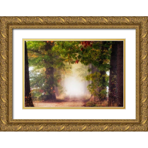 Fall Colors Gold Ornate Wood Framed Art Print with Double Matting by Van de Goor, Lars