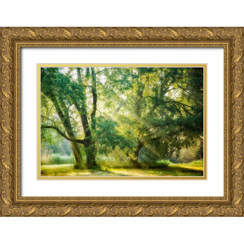 Receiving and Giving Gold Ornate Wood Framed Art Print with Double Matting by Van de Goor, Lars