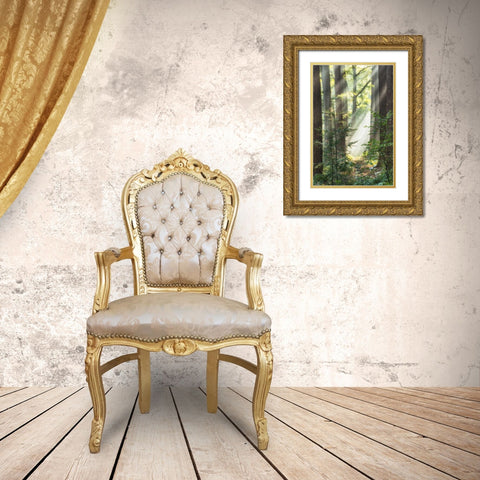 Sunbeam and Spiderweb Gold Ornate Wood Framed Art Print with Double Matting by Van de Goor, Lars