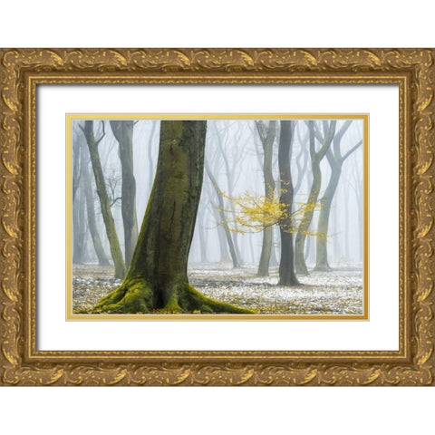Winter Colors Gold Ornate Wood Framed Art Print with Double Matting by Van de Goor, Lars