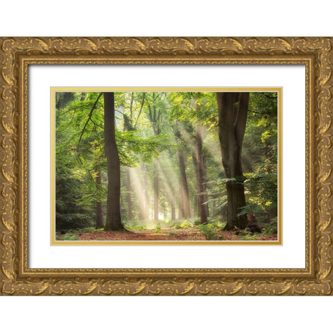 A Touch of Glory Gold Ornate Wood Framed Art Print with Double Matting by Van de Goor, Lars