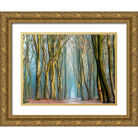 Light and Trees Gold Ornate Wood Framed Art Print with Double Matting by Van de Goor, Lars