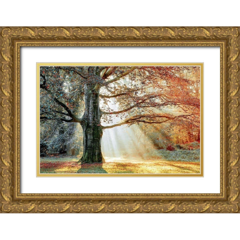 Basking In The Sun Gold Ornate Wood Framed Art Print with Double Matting by Van de Goor, Lars