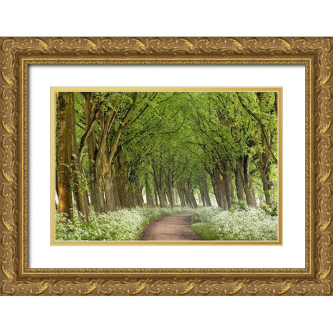 Cow Parsley Curve Gold Ornate Wood Framed Art Print with Double Matting by Van de Goor, Lars