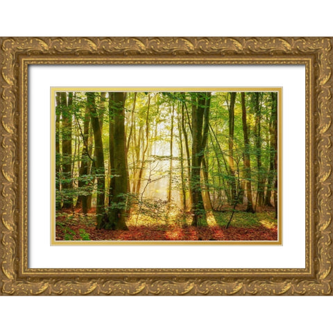Power Beam Gold Ornate Wood Framed Art Print with Double Matting by Van de Goor, Lars