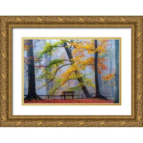 Take A Seat And Enjoy Gold Ornate Wood Framed Art Print with Double Matting by Van de Goor, Lars