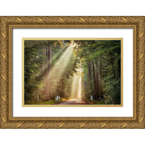 This Beam is Booming Gold Ornate Wood Framed Art Print with Double Matting by Van de Goor, Lars