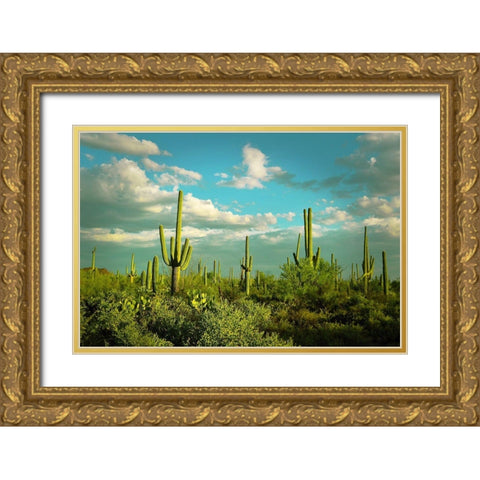Saguaros No. 2 Gold Ornate Wood Framed Art Print with Double Matting by Vargas, Carlos