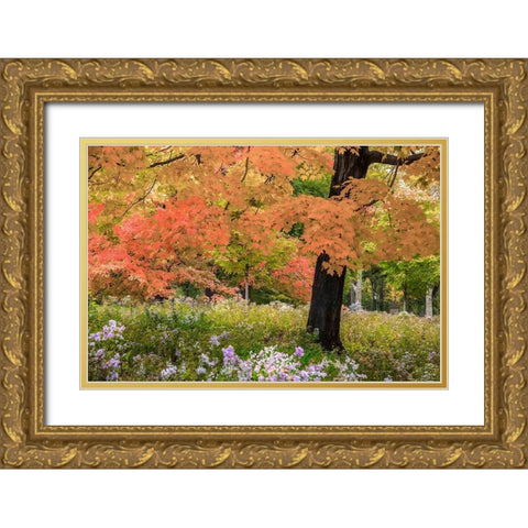 Autumn Splendor Gold Ornate Wood Framed Art Print with Double Matting by Varona, Verne