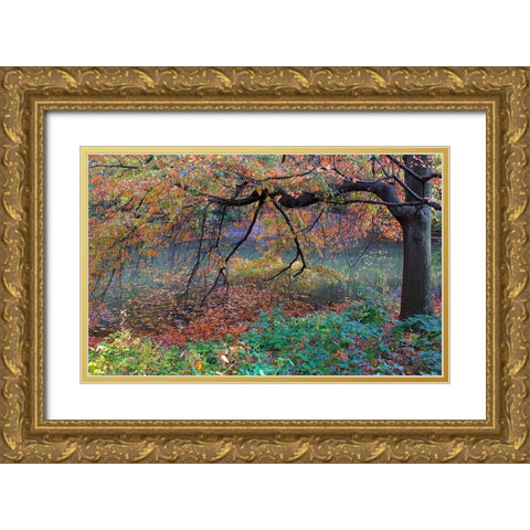 Fall Retreat Gold Ornate Wood Framed Art Print with Double Matting by Varona, Verne