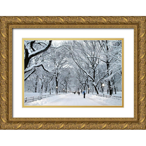 White Wonder Gold Ornate Wood Framed Art Print with Double Matting by Varona, Verne