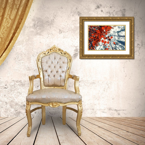Red Autumn Leaves Gold Ornate Wood Framed Art Print with Double Matting by Vitomirov, Igor