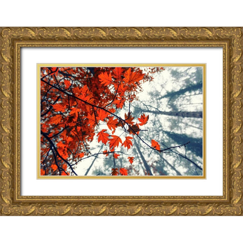 Red Autumn Leaves Gold Ornate Wood Framed Art Print with Double Matting by Vitomirov, Igor