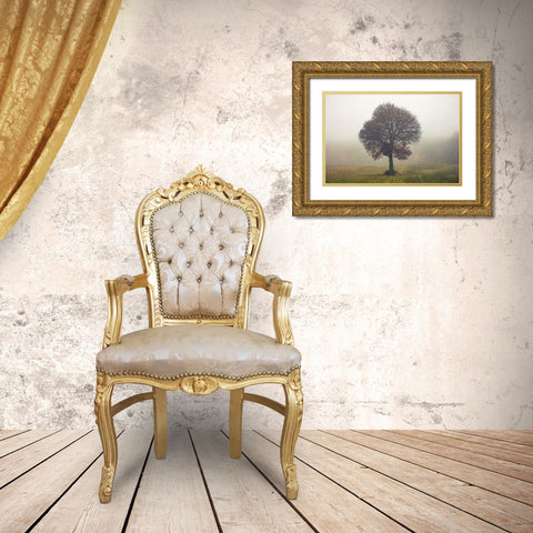 Tree In The Mist Gold Ornate Wood Framed Art Print with Double Matting by Vitomirov, Igor
