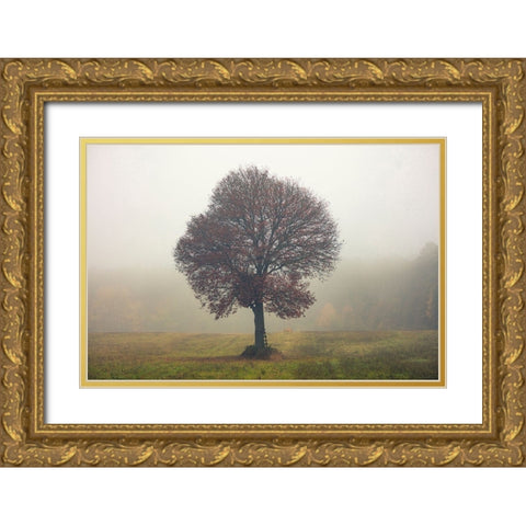 Tree In The Mist Gold Ornate Wood Framed Art Print with Double Matting by Vitomirov, Igor
