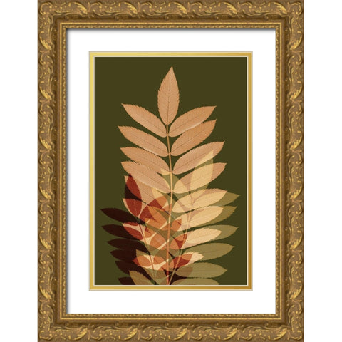 Fall Leaves 2 Gold Ornate Wood Framed Art Print with Double Matting by Winstanley, Ian