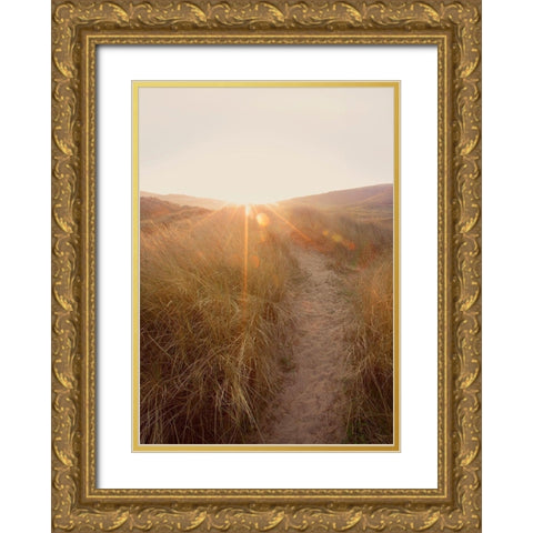 Dunes with Seagulls 4 Gold Ornate Wood Framed Art Print with Double Matting by Winstanley, Ian
