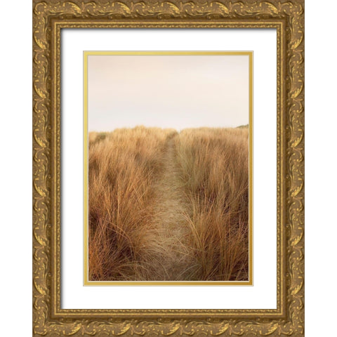 Dunes with Seagulls 6 Gold Ornate Wood Framed Art Print with Double Matting by Winstanley, Ian