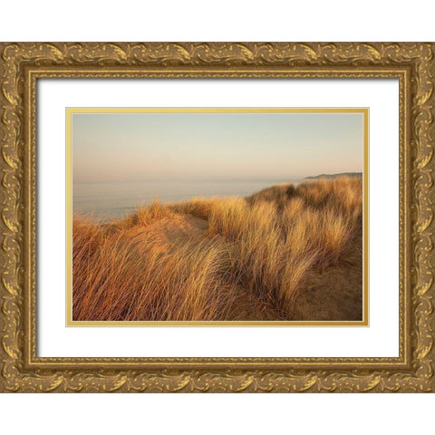 Dunes with Seagulls 7 Gold Ornate Wood Framed Art Print with Double Matting by Winstanley, Ian