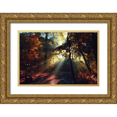 Magic Forest Light Gold Ornate Wood Framed Art Print with Double Matting by Wustenhagen, Dirk