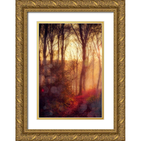 Seasons Light Gold Ornate Wood Framed Art Print with Double Matting by Wuestenhagen, Dirk