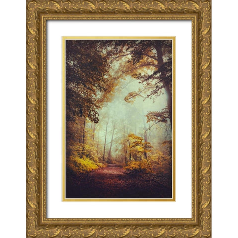 Silent Forest Gold Ornate Wood Framed Art Print with Double Matting by Wuestenhagen, Dirk