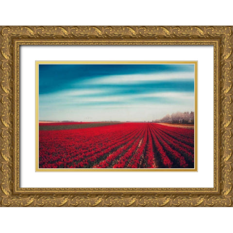 Tulips Gold Ornate Wood Framed Art Print with Double Matting by Wuestenhagen, Dirk