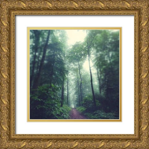 Waldweg Gold Ornate Wood Framed Art Print with Double Matting by Wuestenhagen, Dirk