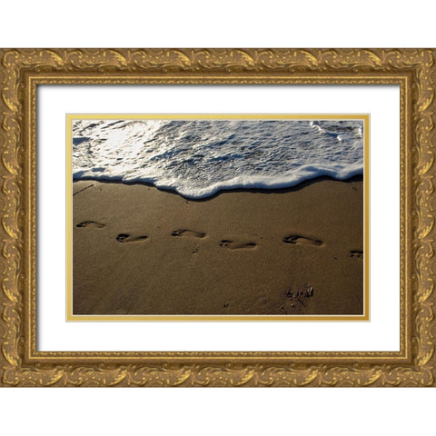 Footprints Gold Ornate Wood Framed Art Print with Double Matting by White, Lynda