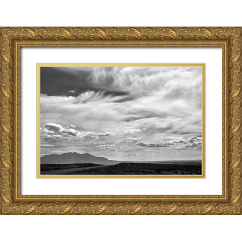 Utah Skies Gold Ornate Wood Framed Art Print with Double Matting by White, Lynda