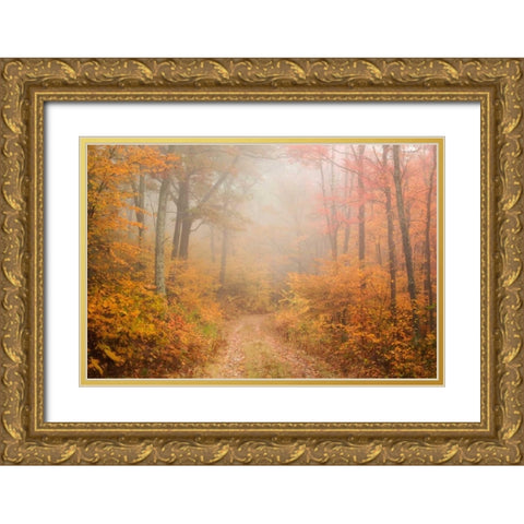 Passing Through Gold Ornate Wood Framed Art Print with Double Matting by Zephyr, Patrick
