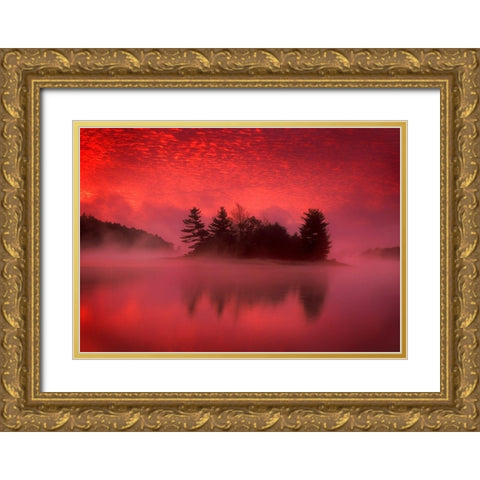 Islands In The Pink Gold Ornate Wood Framed Art Print with Double Matting by Zephyr, Patrick