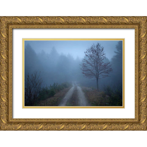 Spring Fog Gold Ornate Wood Framed Art Print with Double Matting by Zephyr, Patrick