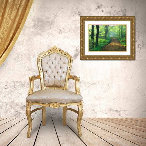 First Light Gold Ornate Wood Framed Art Print with Double Matting by Zephyr, Patrick