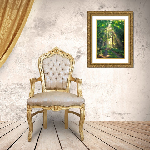 Forest Sunshine Gold Ornate Wood Framed Art Print with Double Matting by Zephyr, Patrick