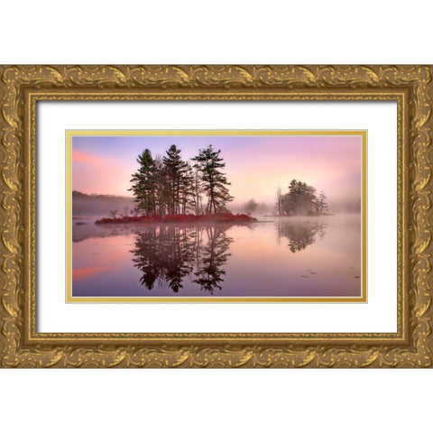 Islands in The Pink Gold Ornate Wood Framed Art Print with Double Matting by Zephyr, Patrick