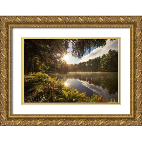 Sunstars Gold Ornate Wood Framed Art Print with Double Matting by Zephyr, Patrick