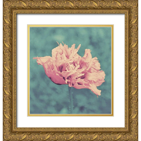 Beautiful Pink Gold Ornate Wood Framed Art Print with Double Matting by Peck, Gail