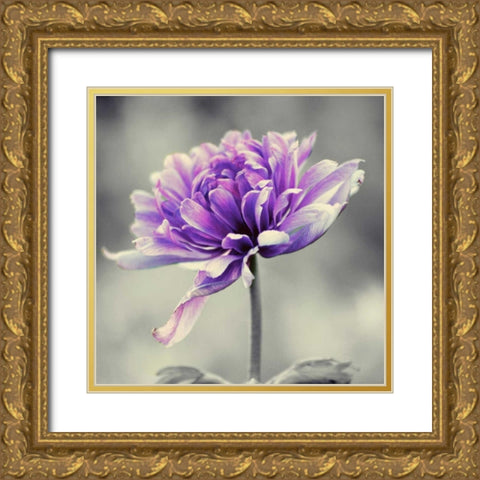 Gorgeous Purple Gold Ornate Wood Framed Art Print with Double Matting by Peck, Gail