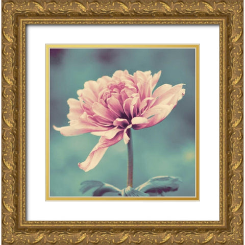 Gorgeous Pink Gold Ornate Wood Framed Art Print with Double Matting by Peck, Gail