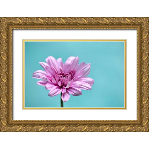 Surrounded in Blue Gold Ornate Wood Framed Art Print with Double Matting by Peck, Gail