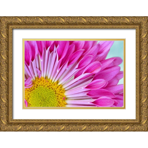 Fuschia Bloom Gold Ornate Wood Framed Art Print with Double Matting by Peck, Gail