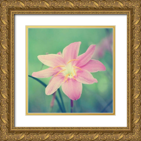 Alone in the Field Gold Ornate Wood Framed Art Print with Double Matting by Peck, Gail